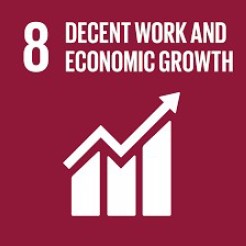 sdg 8