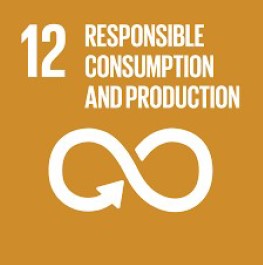 sdg 12